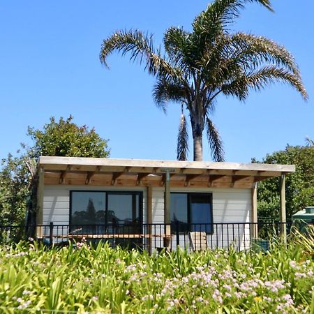 Mount And Surf View Cabin Pataua المظهر الخارجي الصورة