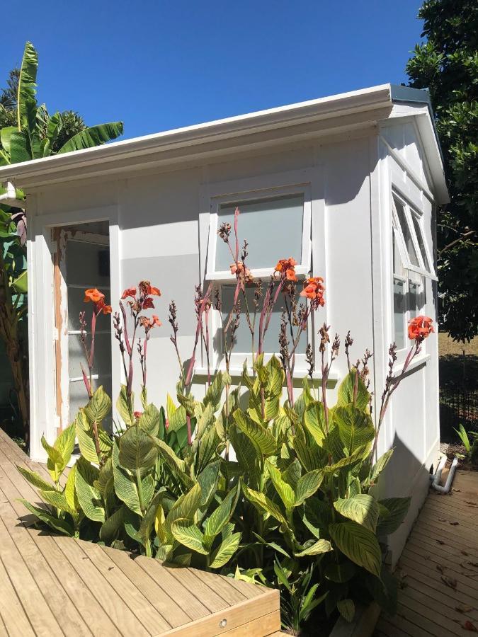 Mount And Surf View Cabin Pataua المظهر الخارجي الصورة