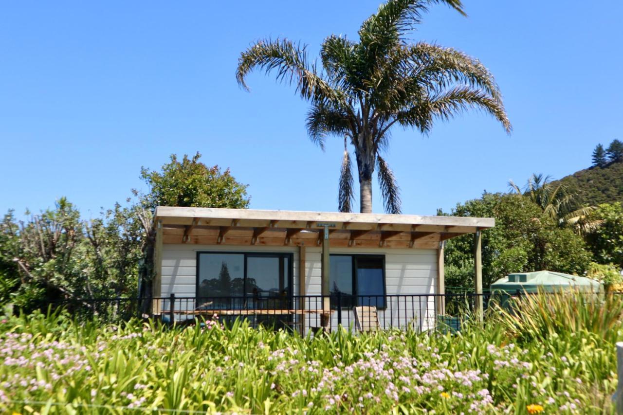 Mount And Surf View Cabin Pataua المظهر الخارجي الصورة
